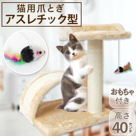 【4/20 P10倍】爪とぎ キャットタワー ミニ 猫 ポール 麻 おもちゃ付き アーチ 据え置き おしゃれ 猫 ねこ ネコ つめとぎ 爪研ぎ 爪みがき 猫タワー 省スペース 猫用品 お手入れ アスレチック型 小型 スリム 置き型