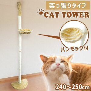 yN[|zzzLbg^[ ˂ 240cm`250cm X ȃXy[X ܂Ƃ  R  Lbg|[ |[ ؓo^[ ˂ L lR ^s ybgpi L^[