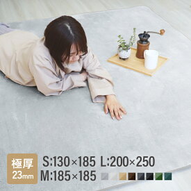 【5%OFFクーポン配布中】ラグ マット 低反発 200×250cm 約3畳 オールシーズン 極厚 23mm マイクロファイバー フランネルラグ 長方形 滑り止め 軽量 ラグカーペット 絨毯 四角 オールシーズン 床暖房 ホットカーペット対応