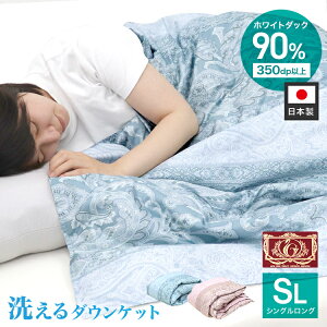 { Y VO 210×150 Hѕzc _EPbg |ӂƂ ėp ĕzc _E90 zCg_bN_E 30}X̃Lg |zc Hє|zc ėpHѕzc GNZS[h