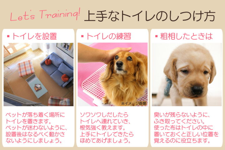 楽天市場 犬 トイレ 小型犬 飛び散り 防止 メッシュ しつけ用 いたずら防止 ステップ壁付きトイレ トイレトレー 犬用トイレ トレーニング トイレ容器 トイレ本体 トレーニング犬トイレ トレー 犬 ドッグ ペット用品 トイレ用品 オス メス Weimall楽天市場店