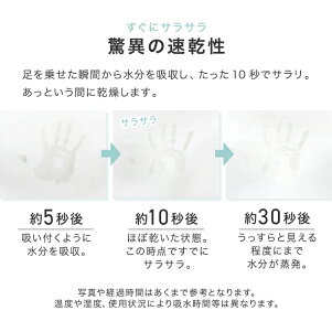 送料無料【★期間限定10%OFF★】【2017モデル】珪藻土バスマット60cm珪藻土バスマットLサイズ珪藻土マットお風呂マット足ふきマット足拭きマットお風呂足ふきマット吸水速乾バス用品新生活