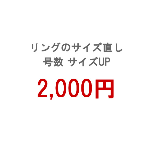 ご注文頂いたリングの号数をサイズアップ 初回限定 リング 訳あり +2000円 号数のサイズアップ