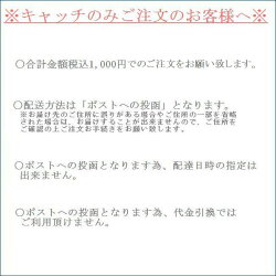【送料無料】大切なピアスをしっかりキャッチ!