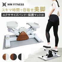 楽天市場】エアロ ツイスト ステッパーの通販