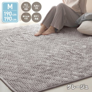 yX[p[Z[ڋʁzO 􂦂   O}bg J[ybg 190×190 2 ` ~ LeBO tl LgO tlO zbgJ[ybgΉ g