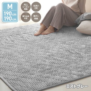 yԌN[|zzzO 􂦂   O}bg J[ybg 190×190 2 ` ~ LeBO tl LgO tlO zbgJ[ybgΉ g