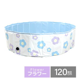 【レビュー特典付き】折りたたみプール 空気入れ不要 子供用プール プール ビニールプール ボールプール 160cm 120cm 子供用 男の子 女の子 小さい 大きい 折りたたみ 室内遊び ベビー キッズ おしゃれ かわいい 屋内 屋外 水遊び 犬 猫 送料無料
