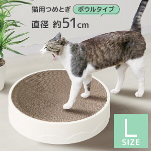 yő75OFFN[|zzzL ܂Ƃ ܌ L܌ _{[ 芷\ ߂Ƃ L Lxbh XgX ی` i{[ ܖ  ybgpi Lpi 