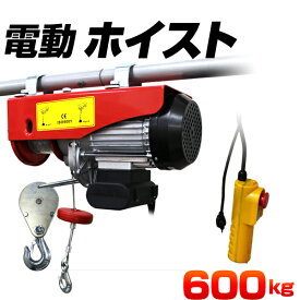 楽天市場 電動ウインチ 100vの通販