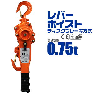 yԌN[|zzzo[zCXg 0.75ton 750kg `F[zCXg `F[ubN o[ubN ג@ Kb`  蓮 ג ^ Œ  Ɩ N[ 