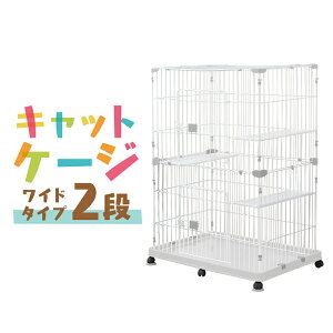 yԌN[|zzzL P[W 2i LbgP[W 2i ybgP[W P[W Q[W L nEX L Q[W LbgQ[W LP[W LQ[W ^   i LX^[t z