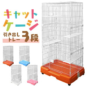 yԌN[|zzzL P[W 3i LbgP[W 3i ybgP[W P[W Q[W L nEX LP[W LQ[W ^   P[W  i LX^[t 
