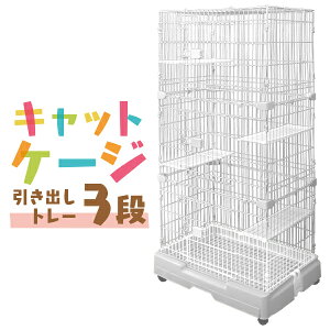 yő500~OFFN[|zL P[W 3i LbgP[W 3i ybgP[W P[W Q[W L nEX LP[W LQ[W ^   P[W  i LX^[t [zCg