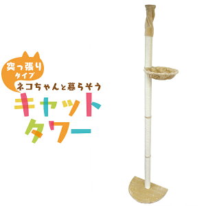 yԌN[|zzzLbg^[ ˂ X ȃXy[X 240`250cm x[W nbN ܂Ƃ Ђ  xbh  킢 lC  L Lbg^