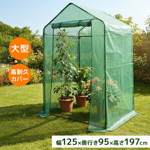 yő2000~OFFN[|zrj[nEX ƒp ^  rj[ K[fnEX K[fjObN v^[X^h t[X^h ȒPg O J[fjO bN r