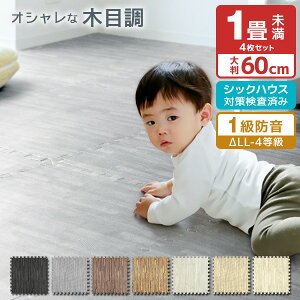 ジョイントマット 大判 おしゃれの人気商品 通販 価格比較 価格 Com