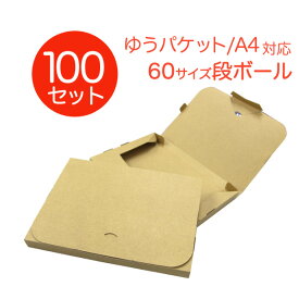 【クーポンで最大10%OFF】【100枚セット】【日本製】ゆうパケット ダンボール 60サイズ 305×220×30 段ボール 箱 宅配 郵便 クリックポスト 対応 厚さ3cm A4サイズ 薄型 ダンボール箱 段ボール箱 送料無料