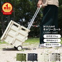 【最大2000円OFFクーポン】キャリーカート 折りたたみ 軽量 台車 フタ付 耐荷重35kg コンパクト 2輪キャスター付 灯油 キャリー カート コンテナカート 折り畳み台車 荷物運び 買い物カゴ 灯油 運搬 折り畳みボックス キャリーボックス アウトドア