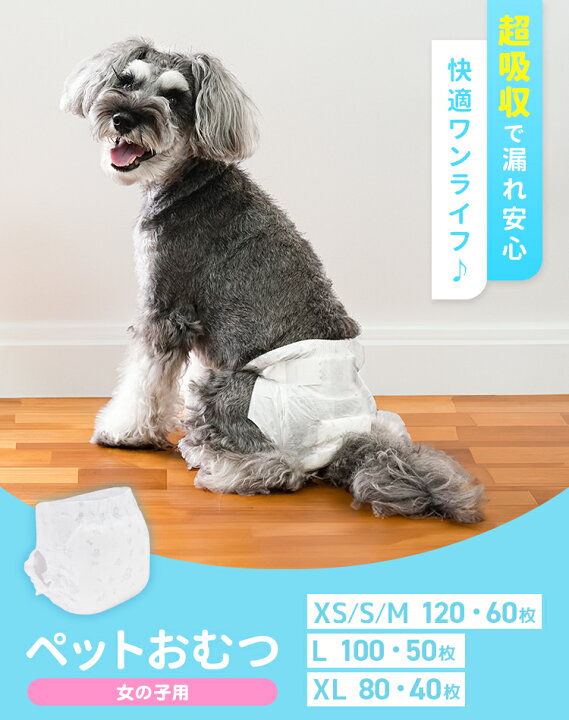 楽天市場】【期間限定クーポン配布】犬用おむつ 女の子 ペット 犬用 