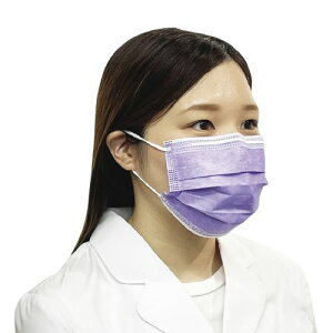 【法人様限定/メーカー直送品/ケース/代引不可】ファーストレイト フィット使いきりマスク168 レギュラーサイズ 95×175mm ラベンダー 50枚/箱×50箱入 FR-168