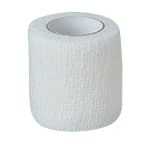 APA сEtBbNX 2 5.0cm×4m 10 17152