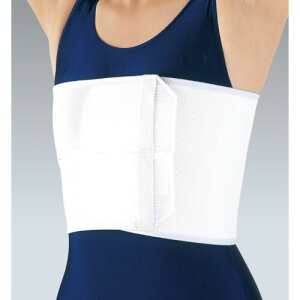 APA Œ oXgohEG[X LL 16832 T|[^[ ]T|[^[