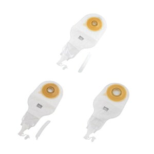 APA Ct@C DLbv 10 Xg[}