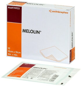 yԌI3_wŃ|Cg10{IvGg[zX~XEAhElt[ (ŋۍ) 10×10cm 10 66974933