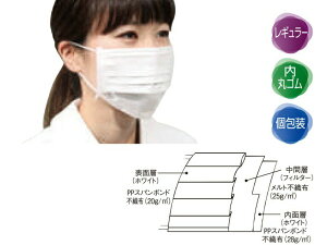 y@ll/[J[i/P[X/szt@[XgCg 1pbN}XN 95×175mm zCg 50/×40 FR-196