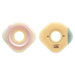 yԌI3_wŃ|Cg10{IvGg[zAPA@[PA[2EF@65@5@16598