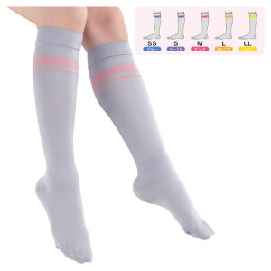 IITLfBJ ×peXgbLO IyLbg(p) nC\bNX^Cv 1