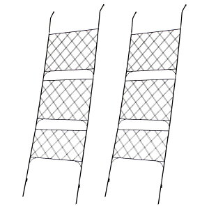 ACAO[J[e 80cm 2g A[KC Argyle IFGC011-2P-BLK