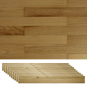 ǂɓ\VR؃pl 10g i` 1.5[g V[^Cv̓VR؃pl \fR SOLIDECO SLDC-10P