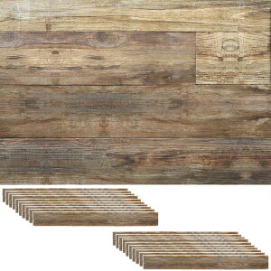 ǂɓ\VR؃pl 20g v~A 3[g V[^Cv̓VR؃pl \fR SOLIDECO SLDCPR-20P