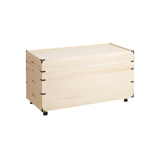 ˈߑP[X ˈߑ 4i LX^[t 91cm 51cm ː[P[X ˃^X [ ߑP[X t i [[~^Cv GB-0007