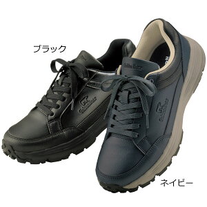 Golden Bear S[fxA QNbV EH[LOV[Y 4EL hdl ̕Sy 954157