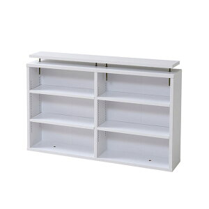 本棚 薄型 上置き単体 幅90cm 壁面収納 CDラック 文庫本収納 マルチラック 棚板1cmピッチ間隔 YHK-1111-JK