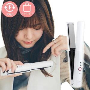 LAVIEL Cordless �R�[�h���X �X�g���[�g�w�A�A�C���� USB�[�d�� �~�j�w�A�A�C���� �X�g���[�g�A�C���� �O���A�C���� �R���p�N�g �y�� �����^�� LV-CL-SI