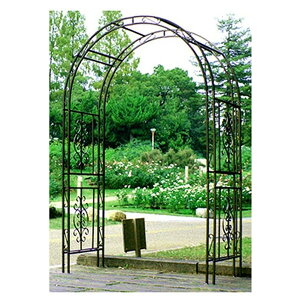 ACAA[` exb 137×s59.5×213cm SST-IPN-7973