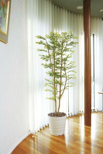 観葉植物 人工観葉植物 光触媒の人気商品 通販 価格比較 価格 Com 観葉植物 人工観葉植物 光触媒の人気商品 通販 価格比較 価格 Com
