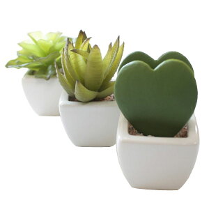 観葉植物 ハートの人気商品 通販 価格比較 価格 Com