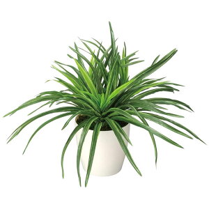 �A�[�g�O���[�� �l�H�ϗt�A�� ���G�} ���̊y�� �h���Z�i 245K45