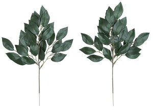 A[gt[  G} ̊y 召4{Zbg 96K22