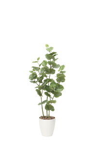 A[gO[ lHϗtA G} ̊y V[O[v1.2 870K160