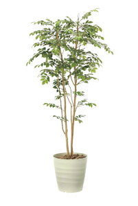 �A�[�g�O���[�� �l�H�ϗt�A�� ���G�} ���̊y�� �}�E���e���A�b�V��1�D8 900R480