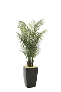 A[gO[ lHϗtA G} ̊y A|oAJp|1D7 945K700