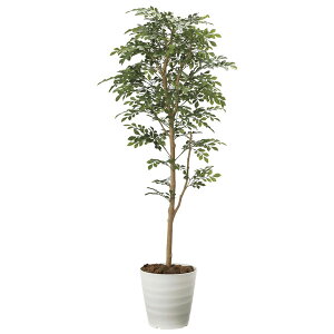�A�[�g�O���[�� �t�F�C�N�O���[�� �l�H�ϗt�A�� ���G�} ���̊y�� �g�l���R 2107P320