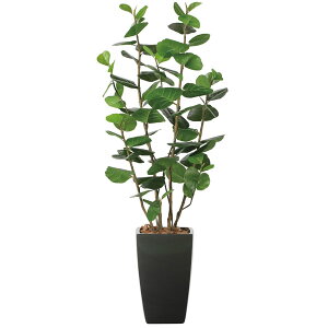 A[gO[ tFCNO[ lHϗtA G} ̊y A[oV[O[v1D8 2245K630