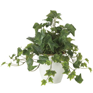 A[gO[ tFCNO[ lHϗtA G} ̊y tbVACr[ 2251A50